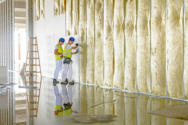 Best Insulation for Specific Applications in Iona, ID